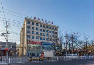 稷山国槐树苗供应商家
